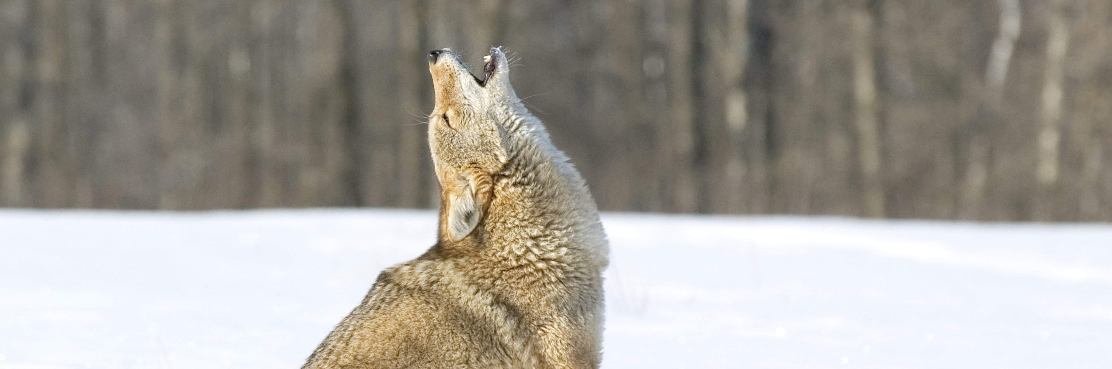 The Sacred Work of Grief