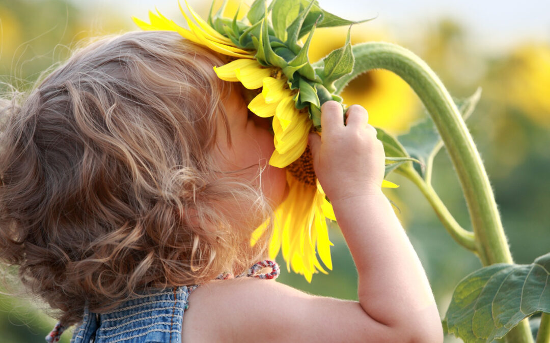 Kids are So Right: Life is a World of Wonder